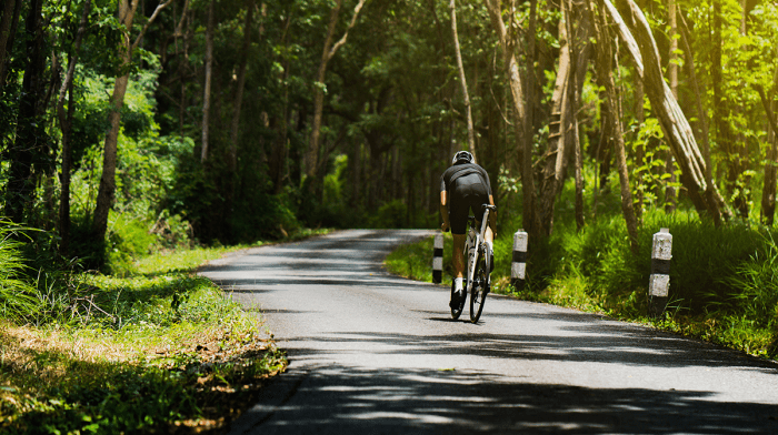 Why is Collagen So Important for Athletes?